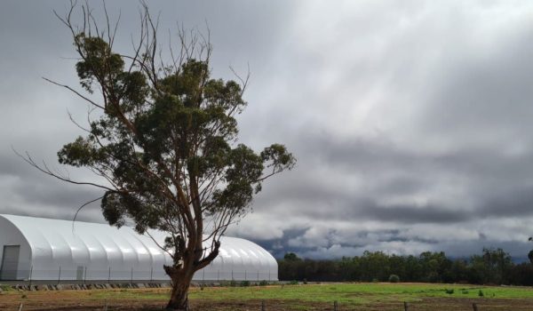 Fabric Shelters and the updated Australian wind code standards